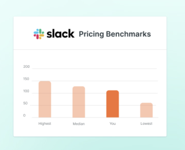 An image of the SaaS Pricing Benchmarks: The Fastest Way to Prepare for Negotiations product.